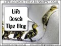 Life Coach Daily Tips