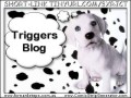 Triggers - Monthly Coaching Ezine