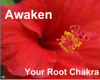 First Chakra is Red, for Strength and Safety