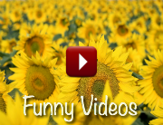 Forward Steps Notes laughter videos