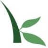 Thea Westra from Forward Steps at Kiva