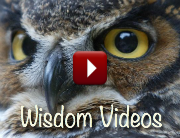 Forward Steps Notes wisdom videos