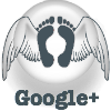 Forward Steps At Google+
